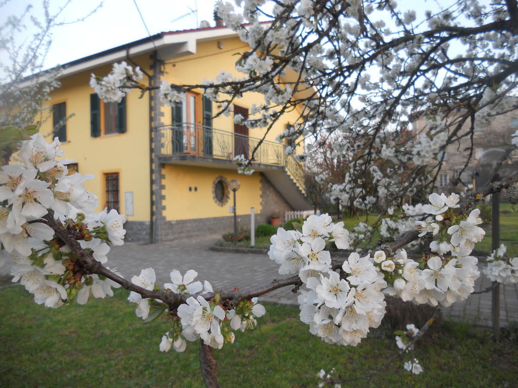 B&B Pervinca 로카 그리말다 외부 사진